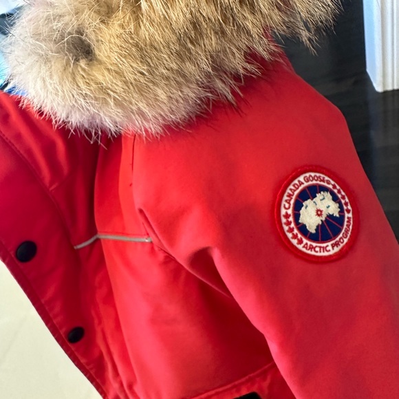 Jacket - Picture 12 of 13